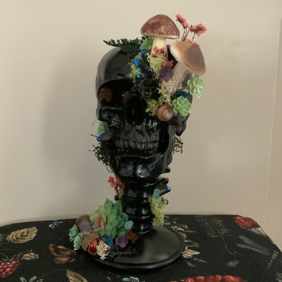 Skull nature display - Picture 4 of 4